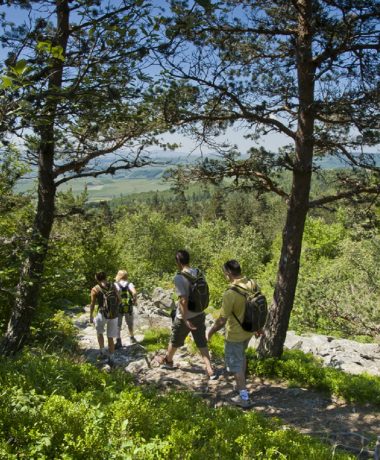 2025 Adhérents Activités sportives