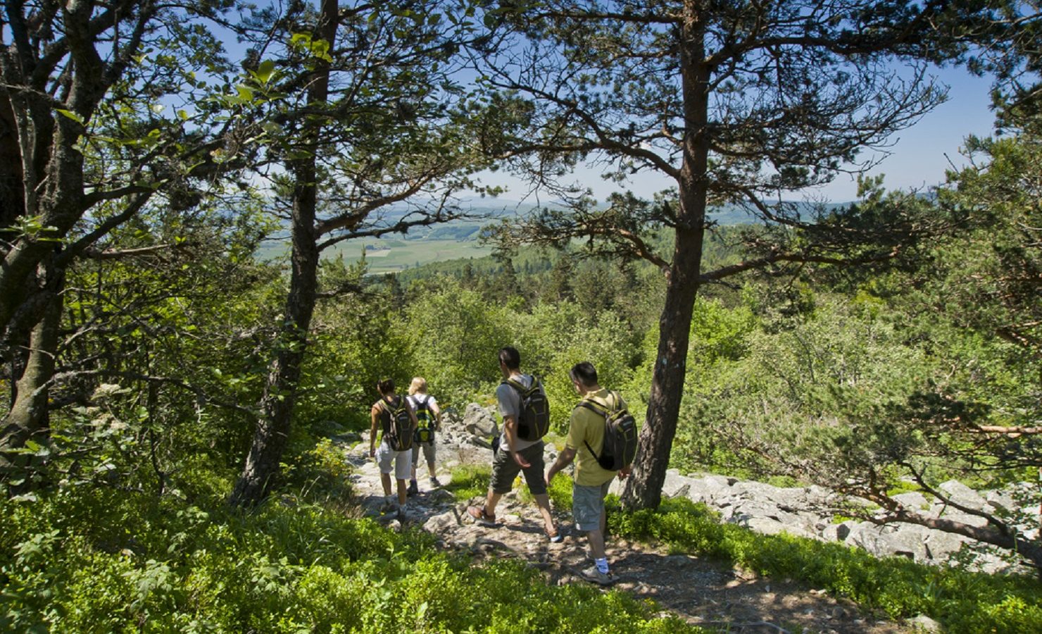 Randonnées Pédestres