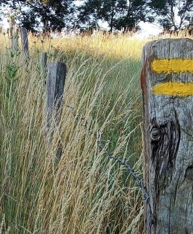 randonnées pédestres, Parcours d’orientation, Trails