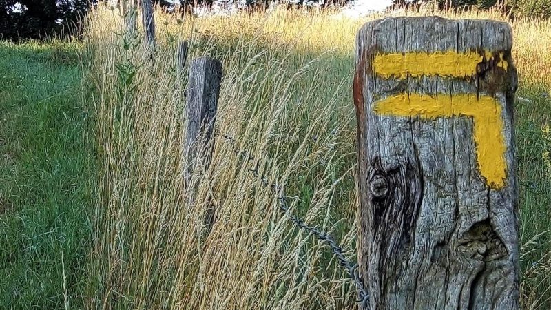 randonnées pédestres, Parcours d’orientation, Trails