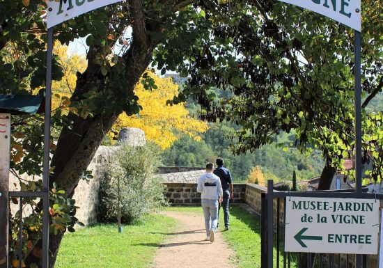 Les nouveautés du jardin et musée de la Vigne de Vieille-Brioude
