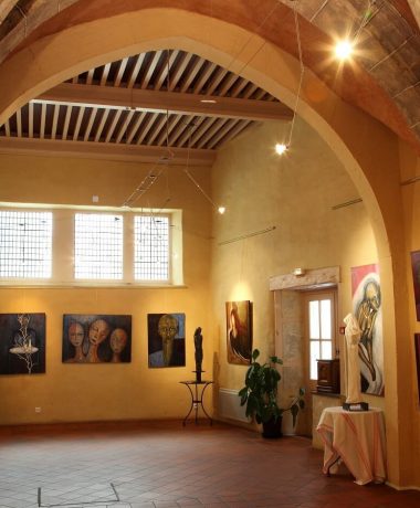 Voyage d’émotions : Musées, Visites Culturelles