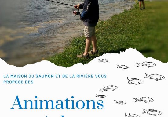 Animation pêche