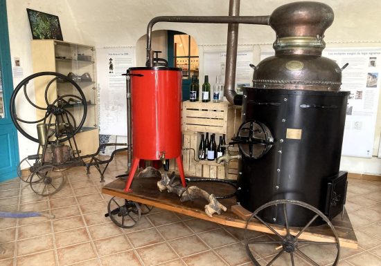 Musée-jardin de la vigne à Vieille-Brioude 