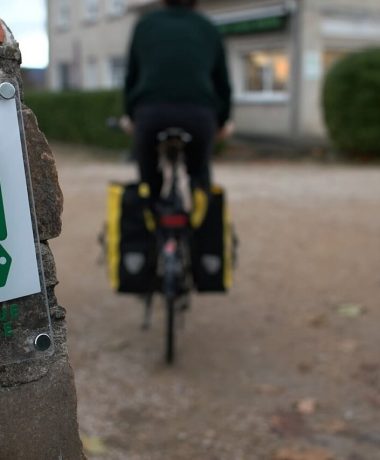 Les locations et réparations de vélos