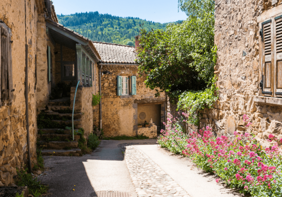 Partir à la découverte de …