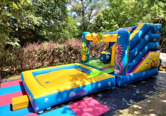 Bageasse Pleine Nature