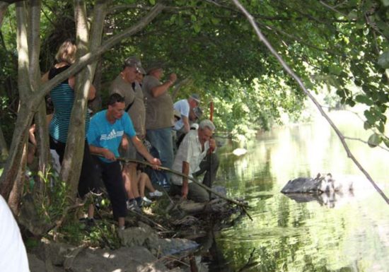 Le Pont d’Allagnon
