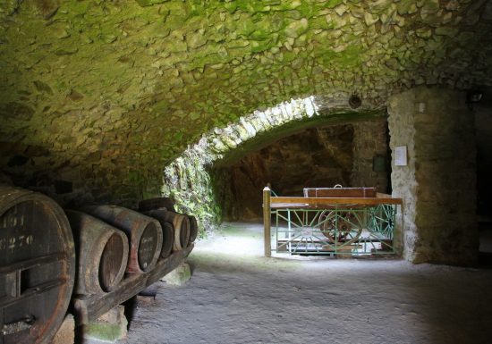 Musee de la Vigne et du Patrimoine