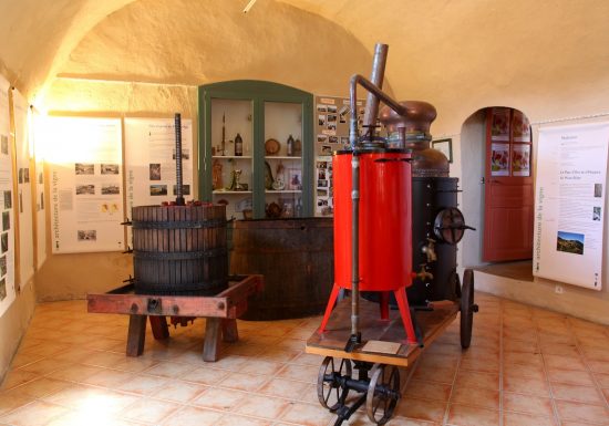 Musee de la Vigne et du Patrimoine