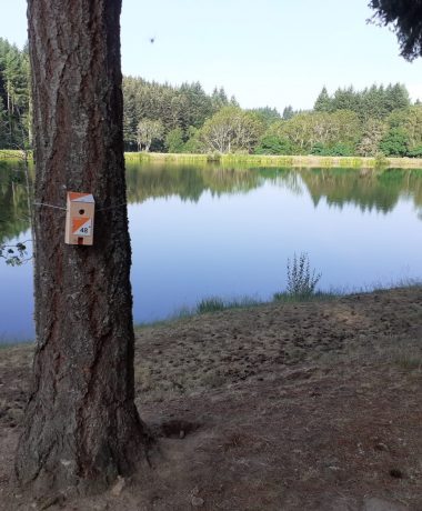 Parcours d’orientation permanent à Champagnac Le Vieux