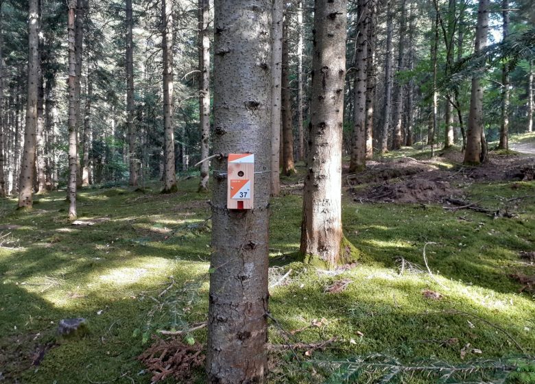 Parcours d’orientation permanent à Champagnac Le Vieux