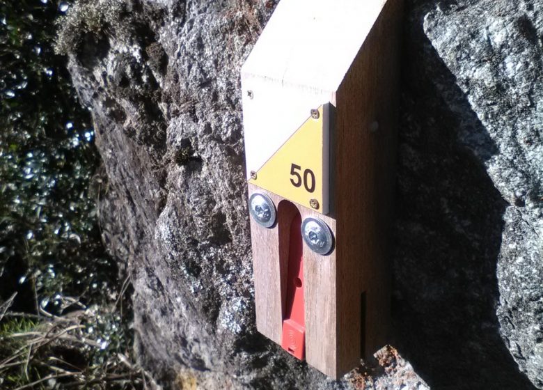 Parcours d’orientation permanent à Vezezoux