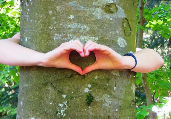 Eco-tours  « Balade : Les bienfaits de la forêt »