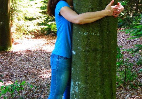 Eco-tours  « Balade : Les bienfaits de la forêt »