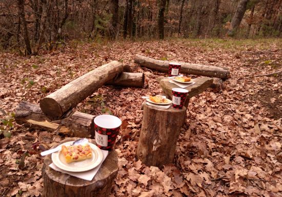 Eco-tours  « Balade : Les bienfaits de la forêt »