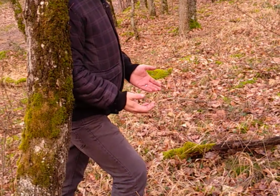 Eco-tours  « Balade : Les bienfaits de la forêt »