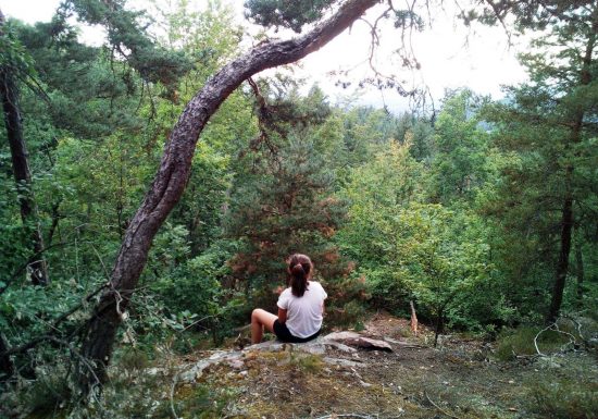 Eco-tours  « Balade : Les bienfaits de la forêt »