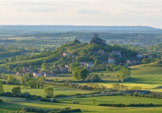 PR 423  Les Orchidées