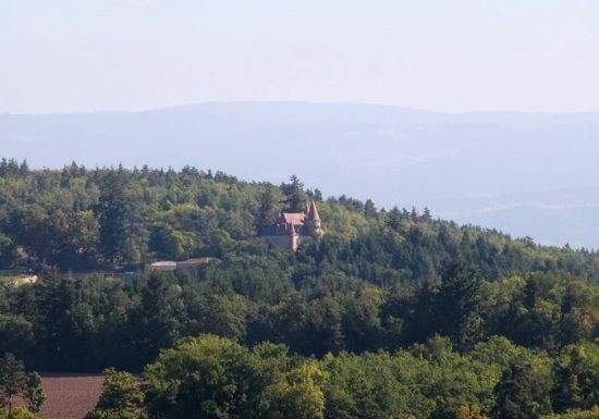 PR427 Le Coudert du Marquis