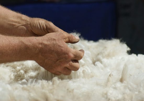 Alpacas De la Suavidad
