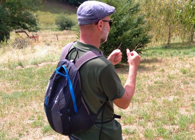 Ressentir la terre vibrer sous les baguettes de sourcier