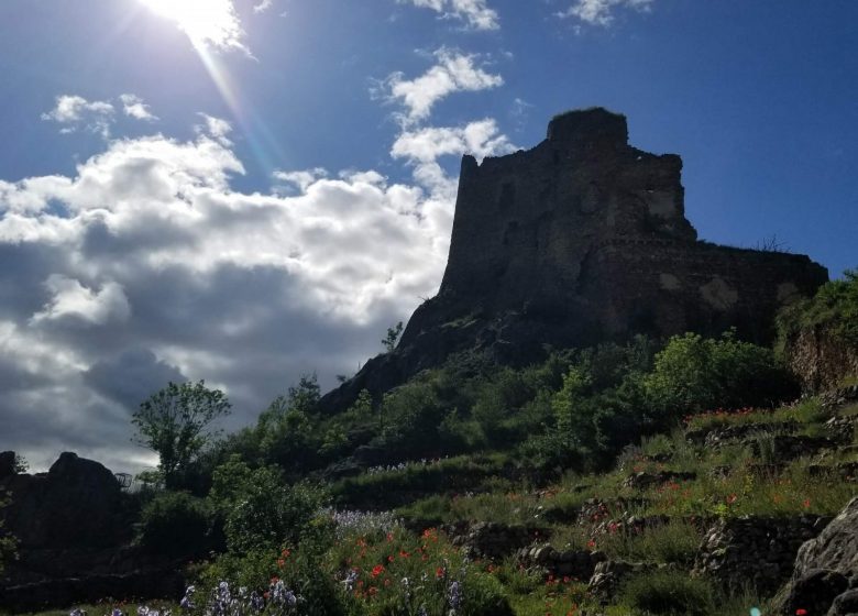 Les terrasses de Léotoing