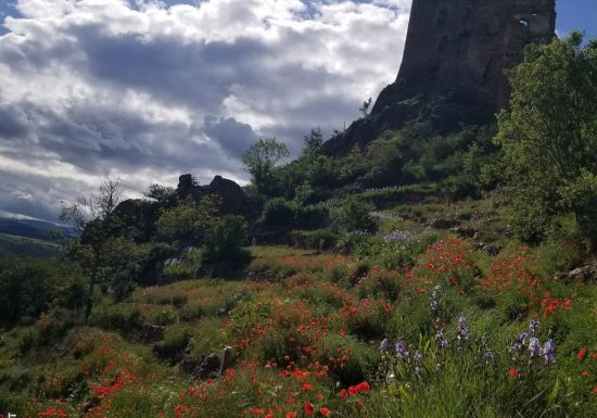 Les terrasses de Léotoing