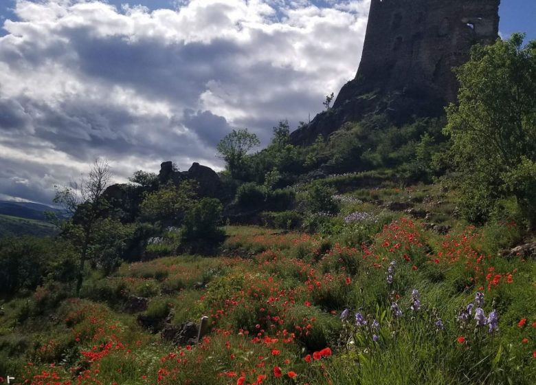 Les terrasses de Léotoing