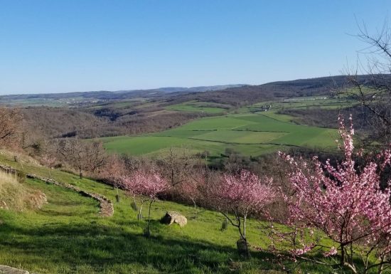 Le sentier d’interprétation de la biodiversité de Léotoing