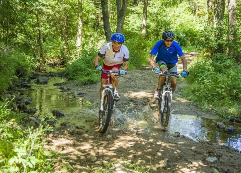 Aux frontières du 43