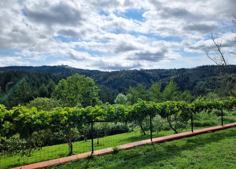 La Garnette paisible et reposante