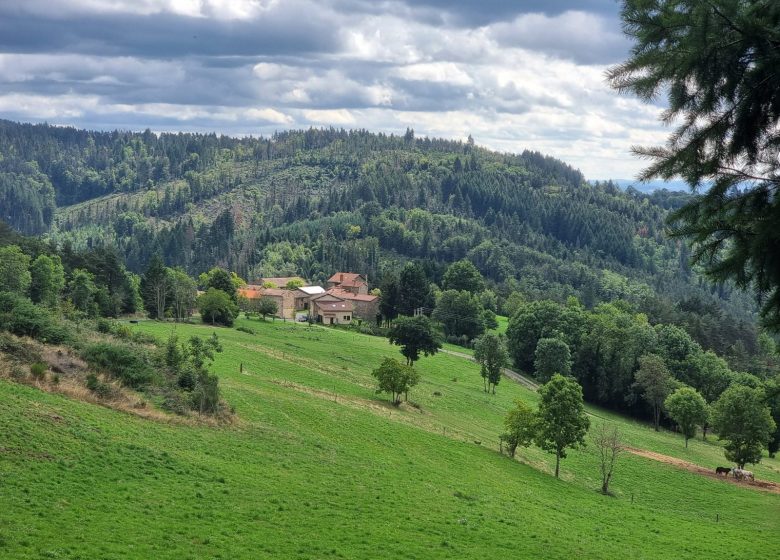 La Garnette paisible et reposante