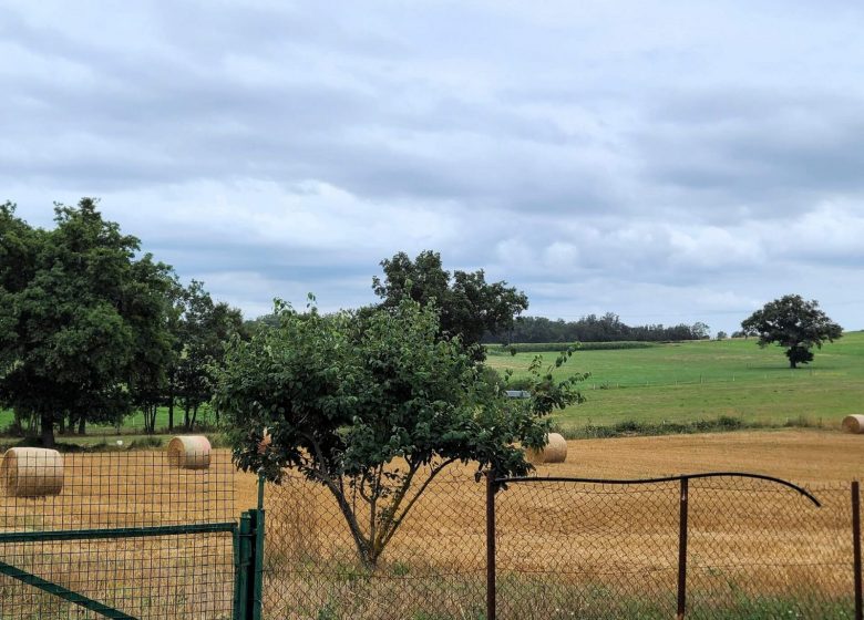 Gîte Vacances en Auvergne