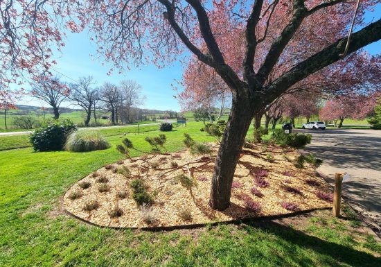 Hôtel et SPA Le Baudière