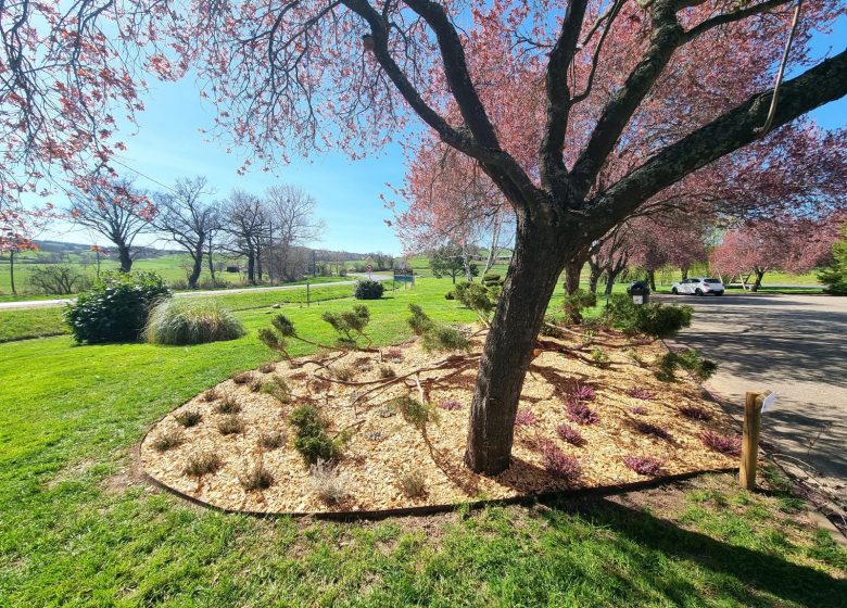 Hôtel et SPA Le Baudière