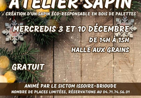 Atelier récup » : fabrique ton sapin en palettes