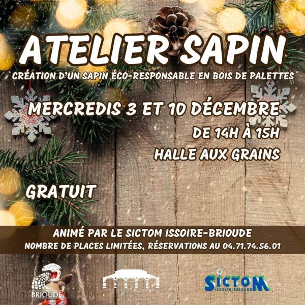 Atelier récup » : fabrique ton sapin en palettes