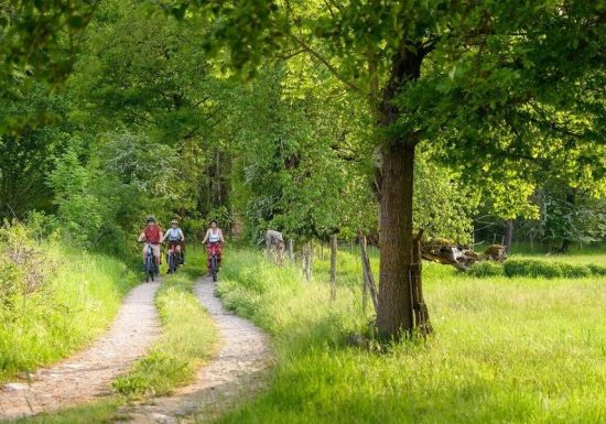 Test Alti-cycles Conseils, ventes et location de vélos
