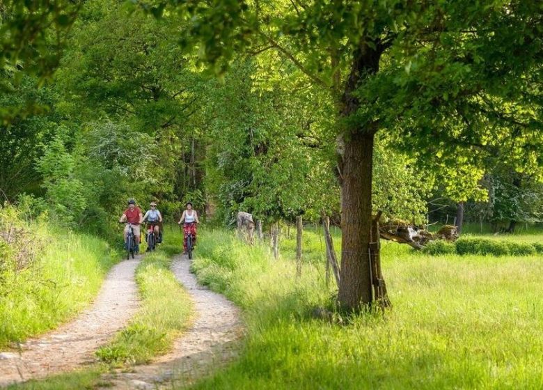 Test Alti-cycles Conseils, ventes et location de vélos