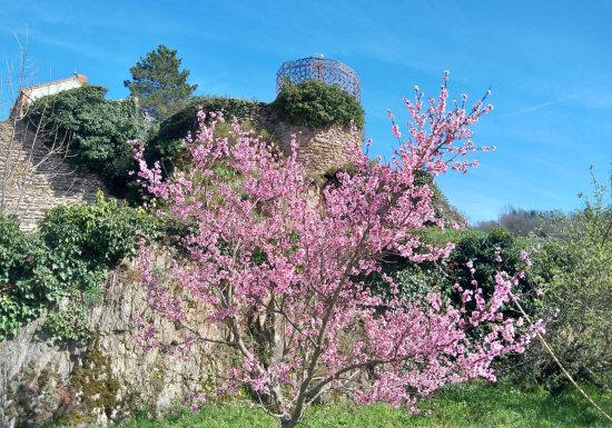 Visite de groupe – Auzon