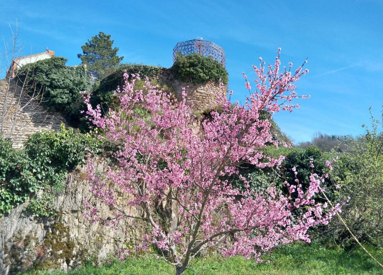 Visite de groupe – Auzon