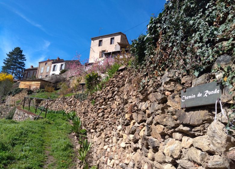 Visite de groupe – Auzon