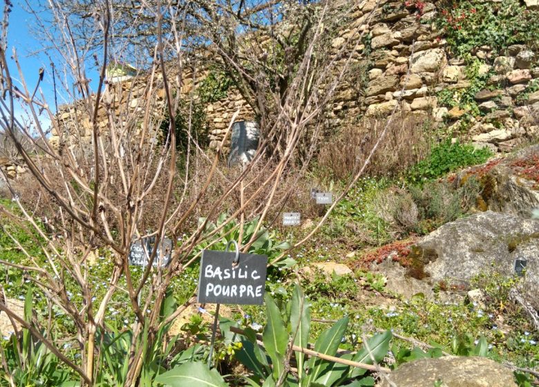 Visite de groupe – Auzon