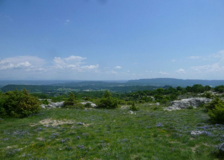 Dentelle et savoir-faire de la vallée de l&rsquo;Allier
