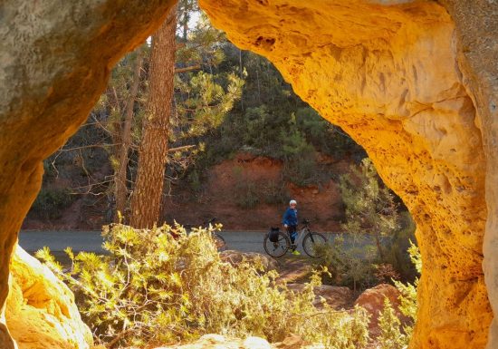 Le miel et les abeilles !