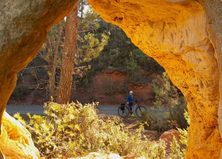 Le miel et les abeilles !