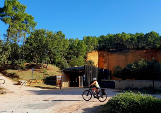 Le miel et les abeilles !