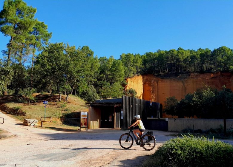 Le miel et les abeilles !