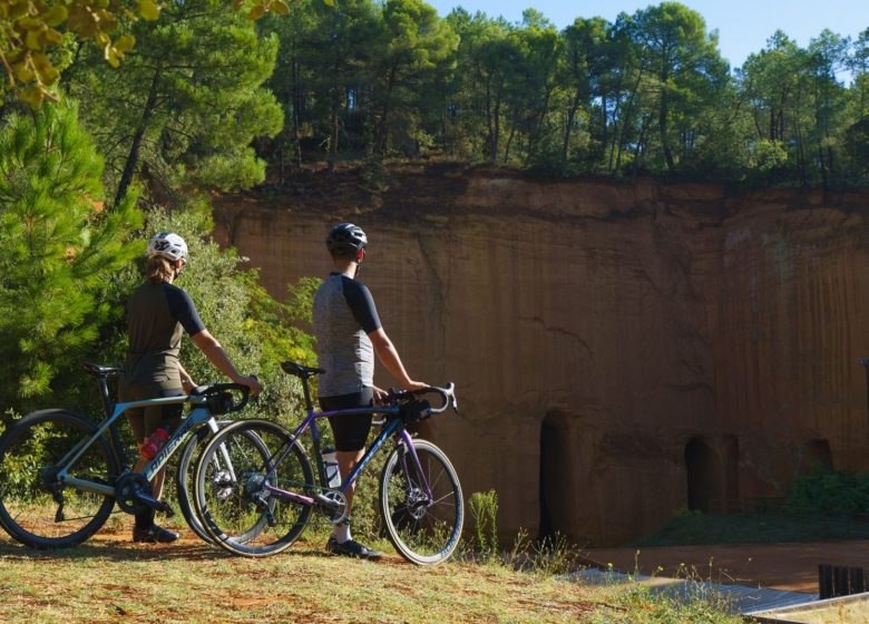 Le miel et les abeilles !